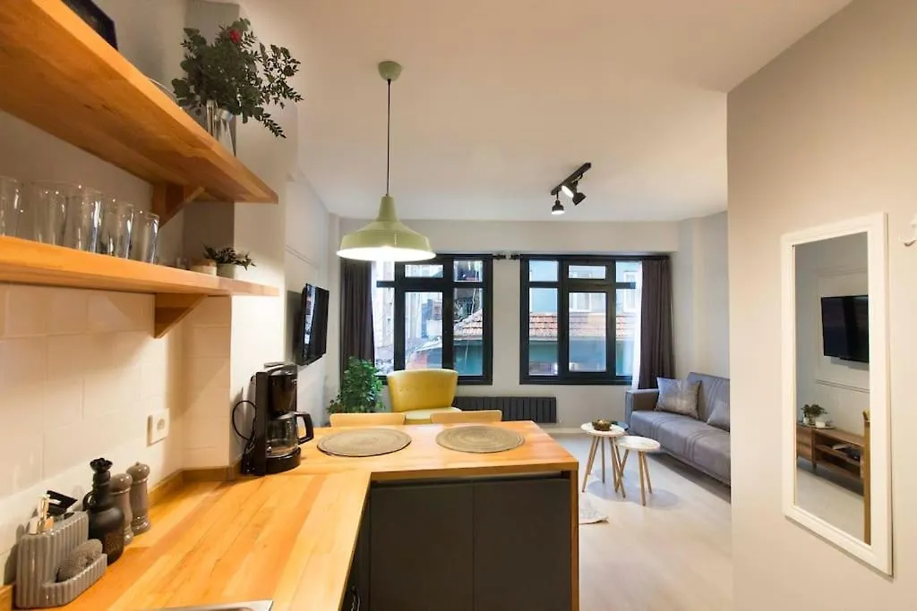 Petite & Cosy 1Br Flat At The Heart Of Kadikoy Apartment Istanbul